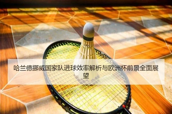 哈兰德挪威国家队进球效率解析与欧洲杯前景全面展望